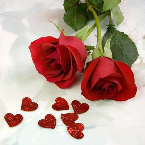 Meet your Posher, Sam - Picture 1 of 1